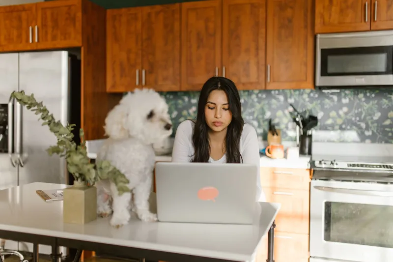Skip the Mixer: How Home-Based Owners Build Four Solid Partnerships From the Kitchen Table